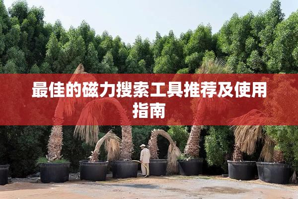 最佳的磁力搜索工具推荐及使用指南