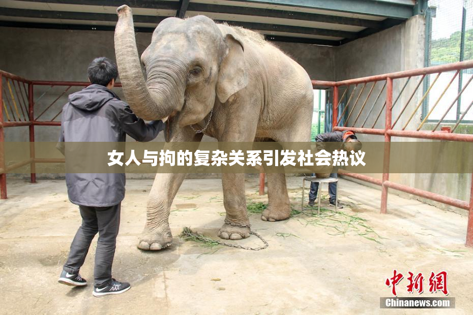 女人与拘的复杂关系引发社会热议