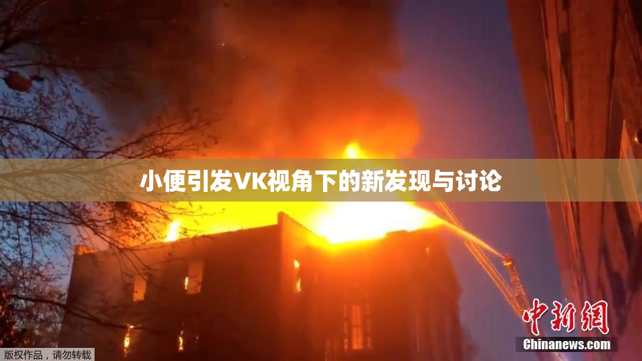 小便引发VK视角下的新发现与讨论