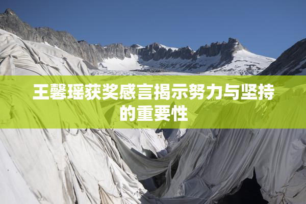 王馨瑶获奖感言揭示努力与坚持的重要性