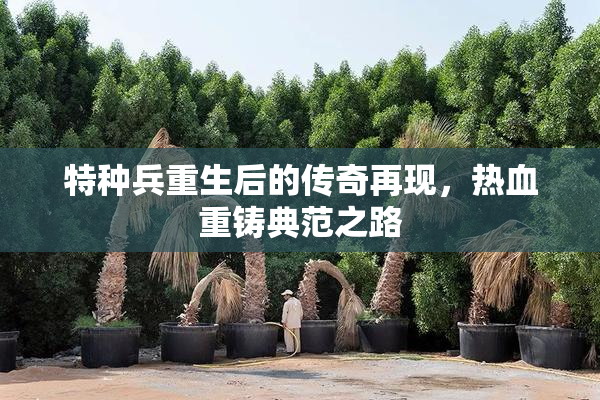特种兵重生后的传奇再现，热血重铸典范之路