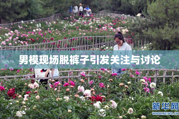 男模现场脱裤子引发关注与讨论