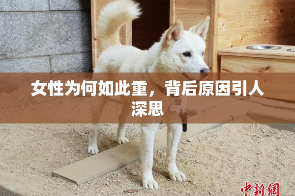 女性为何如此重，背后原因引人深思