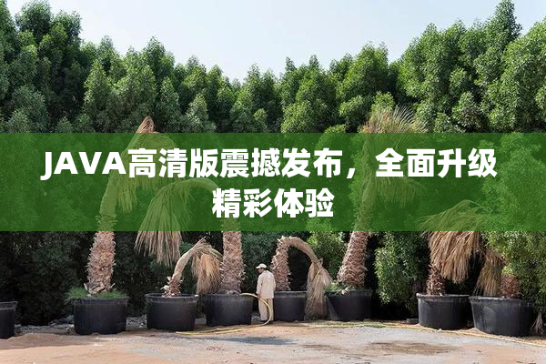 JAVA高清版震撼发布，全面升级精彩体验
