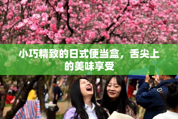 小巧精致的日式便当盒，舌尖上的美味享受