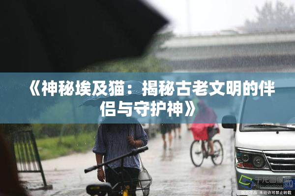 《神秘埃及猫：揭秘古老文明的伴侣与守护神》