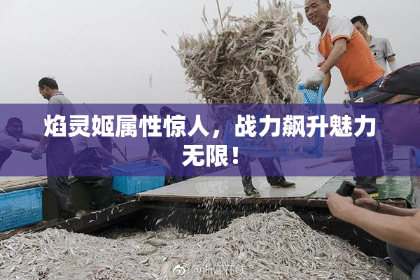 焰灵姬属性惊人，战力飙升魅力无限！