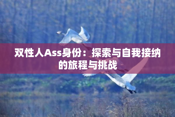 双性人Ass身份：探索与自我接纳的旅程与挑战