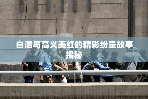 白洁与高义美红的精彩纷呈故事揭秘