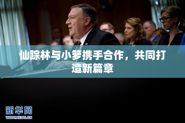 仙踪林与小箩携手合作，共同打造新篇章