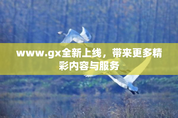 www.gx全新上线，带来更多精彩内容与服务