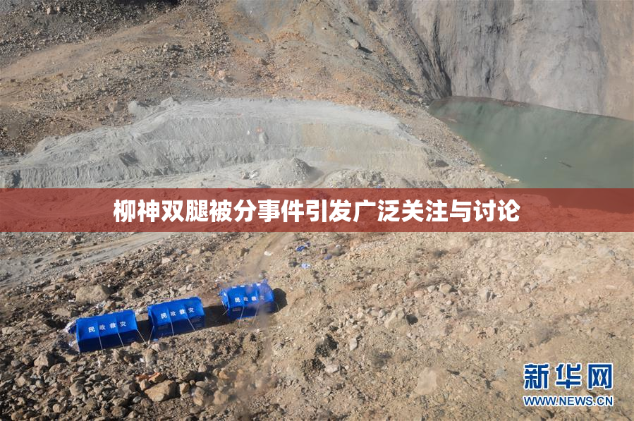 柳神双腿被分事件引发广泛关注与讨论