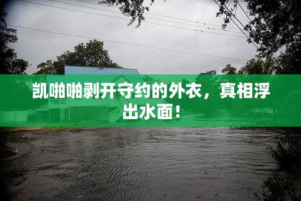 凯啪啪剥开守约的外衣，真相浮出水面！