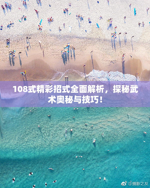108式精彩招式全面解析，探秘武术奥秘与技巧！