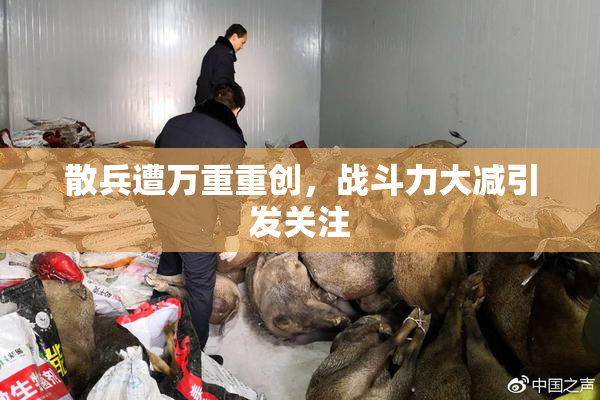 散兵遭万重重创，战斗力大减引发关注