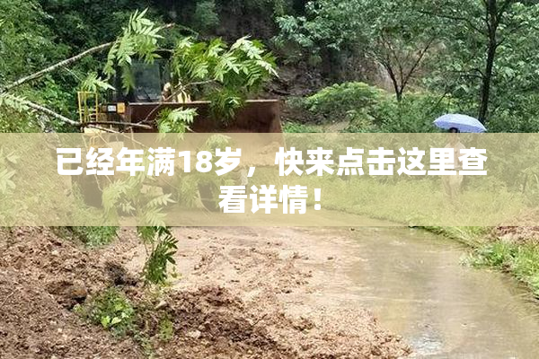 已经年满18岁，快来点击这里查看详情！
