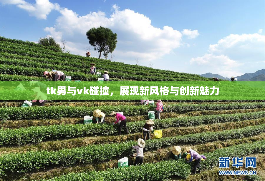 tk男与vk碰撞，展现新风格与创新魅力