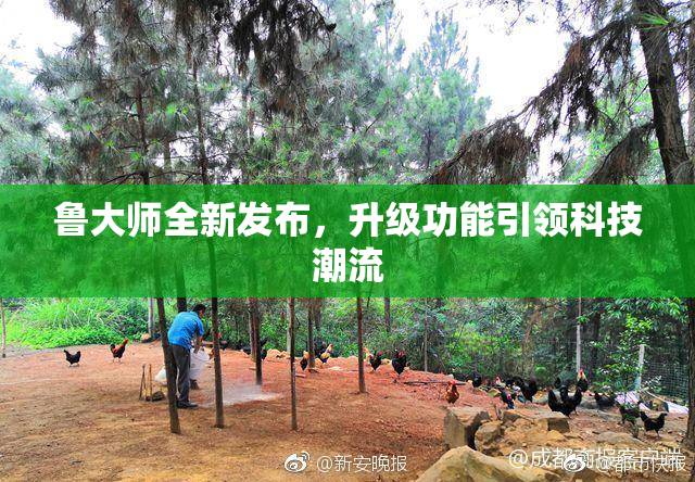 鲁大师全新发布，升级功能引领科技潮流