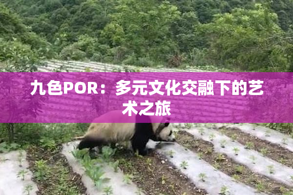 九色POR：多元文化交融下的艺术之旅