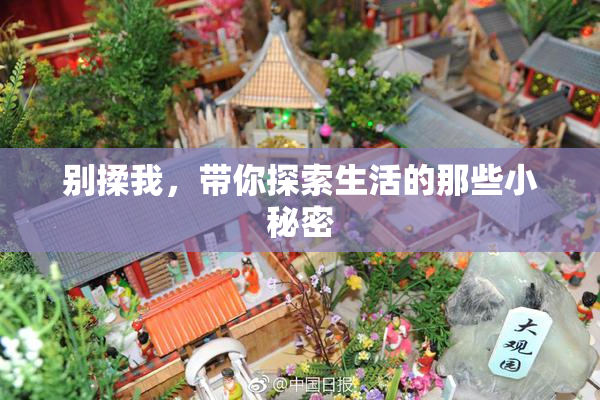 别揉我，带你探索生活的那些小秘密