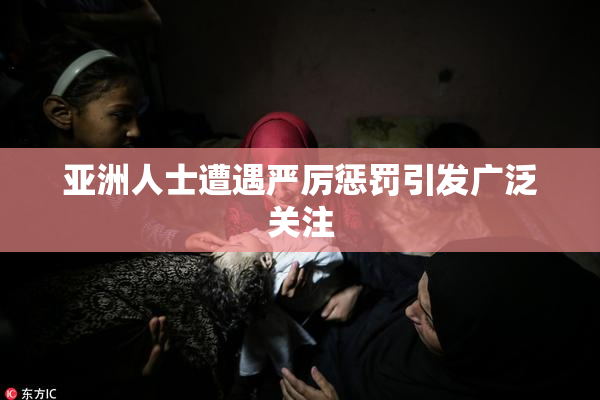 亚洲人士遭遇严厉惩罚引发广泛关注