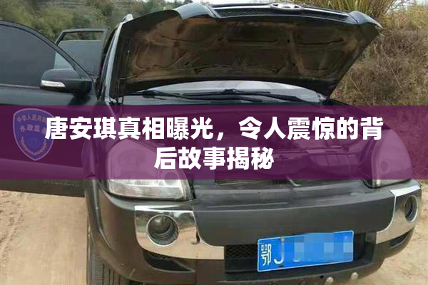 唐安琪真相曝光，令人震惊的背后故事揭秘