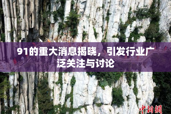 91的重大消息揭晓，引发行业广泛关注与讨论
