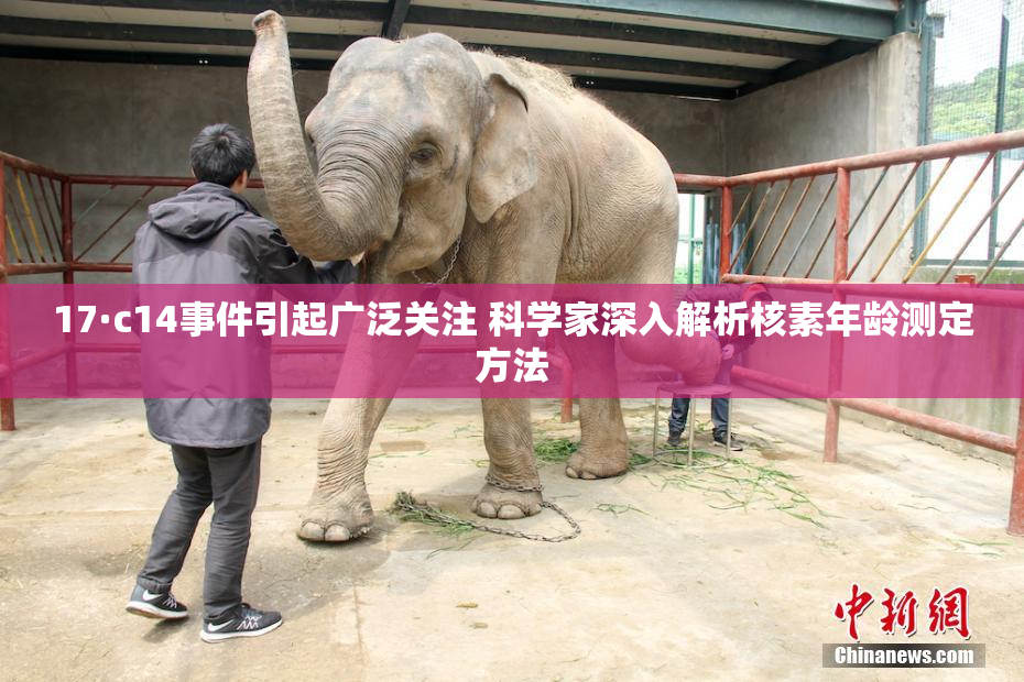 17·c14事件引起广泛关注 科学家深入解析核素年龄测定方法