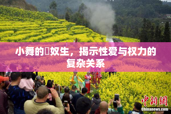 小舞的婬奴生，揭示性爱与权力的复杂关系