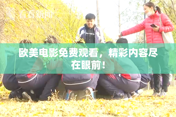 欧美电影免费观看，精彩内容尽在眼前！