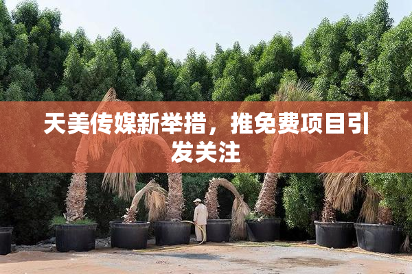 天美传媒新举措，推免费项目引发关注