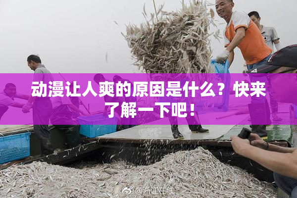 动漫让人爽的原因是什么？快来了解一下吧！