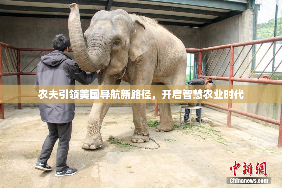 农夫引领美国导航新路径，开启智慧农业时代