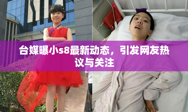 台媒曝小s8最新动态，引发网友热议与关注