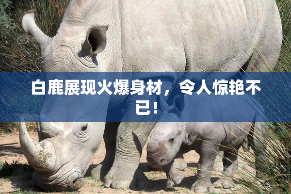 白鹿展现火爆身材，令人惊艳不已！