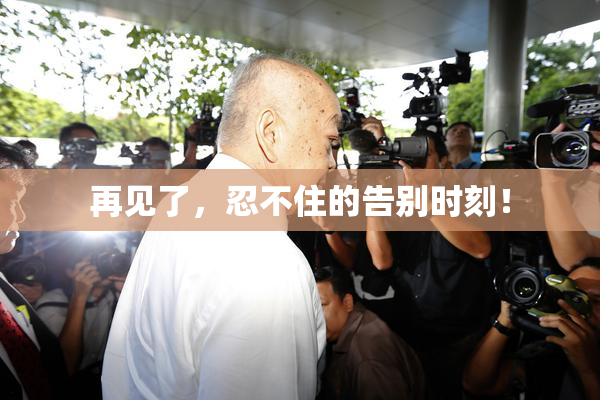 再见了，忍不住的告别时刻！