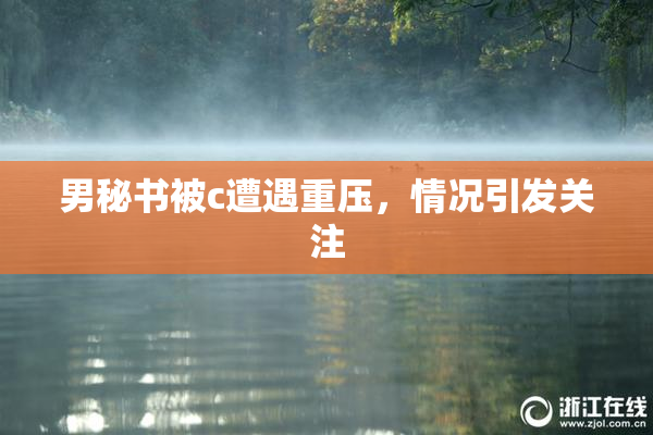 男秘书被c遭遇重压，情况引发关注