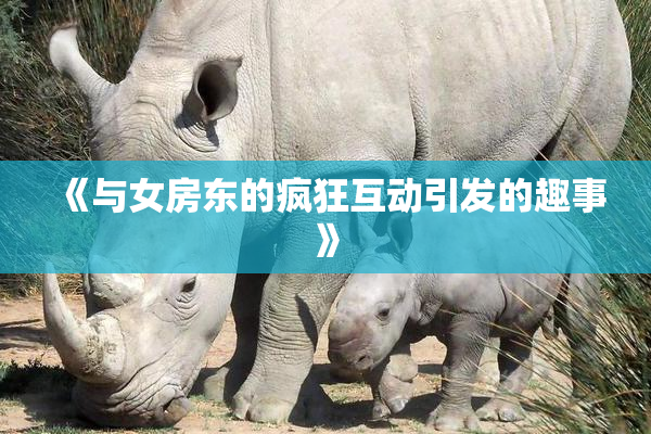 《与女房东的疯狂互动引发的趣事》