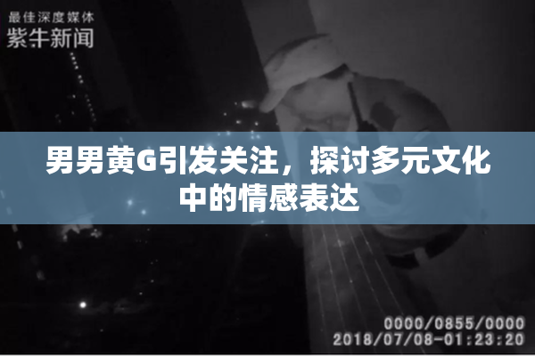 男男黄G引发关注，探讨多元文化中的情感表达