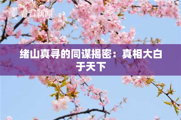 绪山真寻的同谋揭密：真相大白于天下