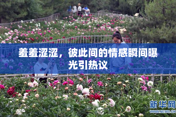 羞羞涩涩，彼此间的情感瞬间曝光引热议