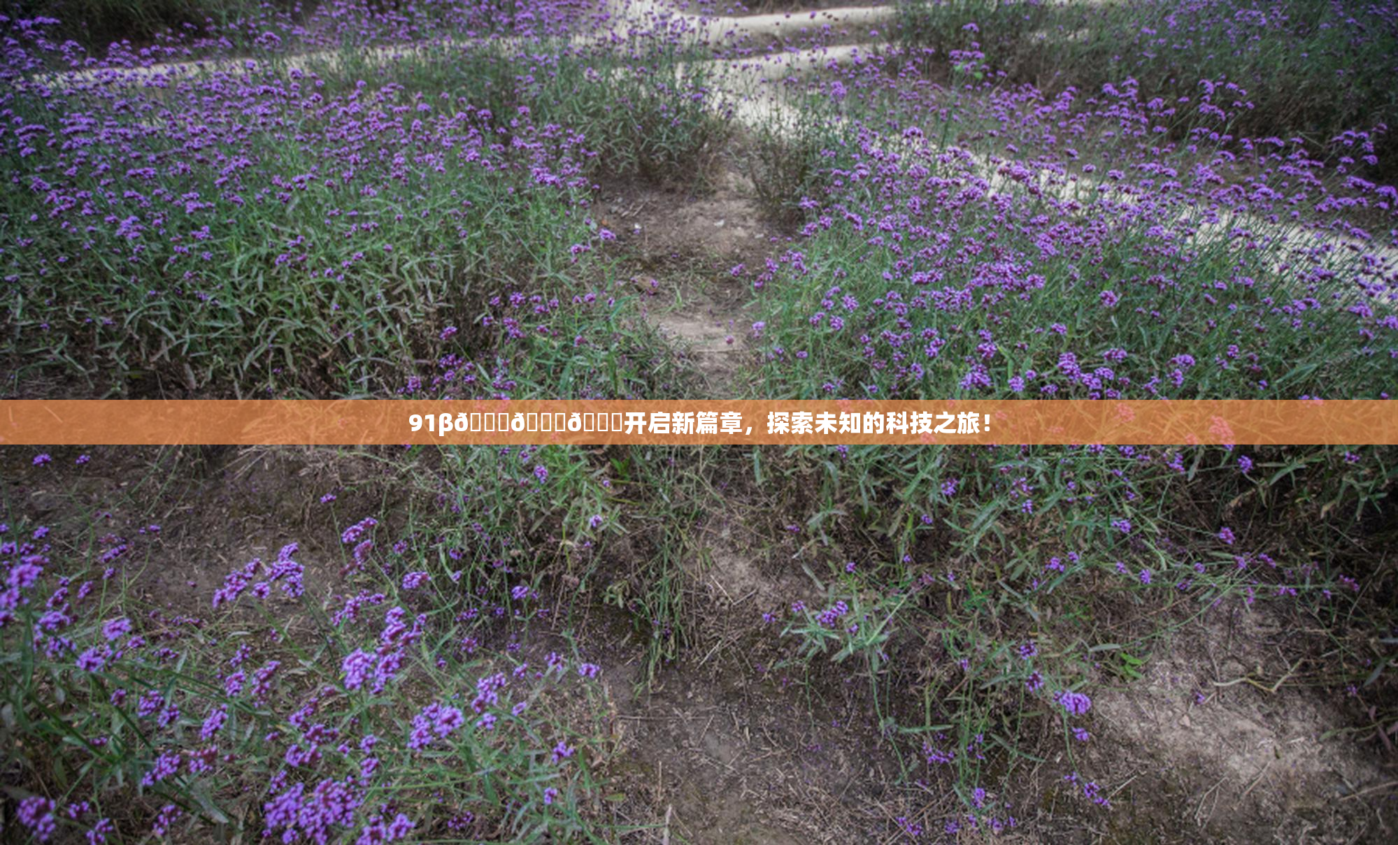 91β🍆🍆🍆开启新篇章，探索未知的科技之旅！