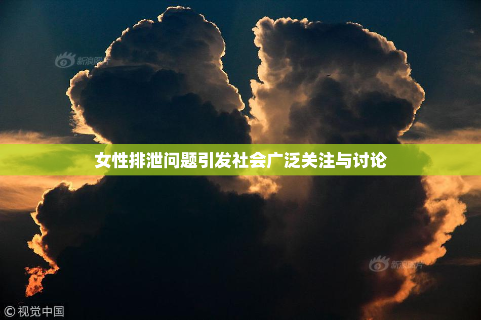 女性排泄问题引发社会广泛关注与讨论