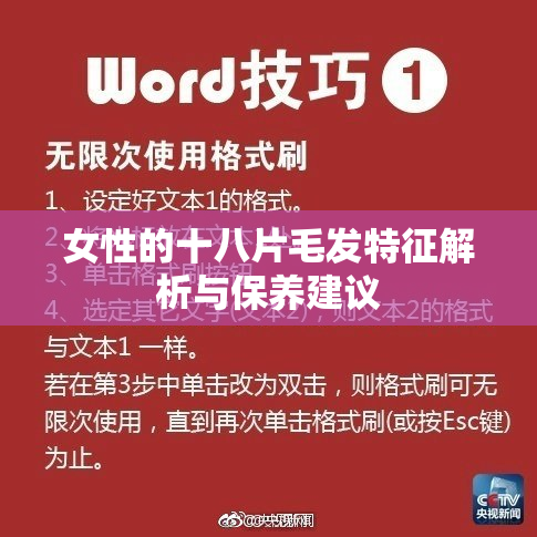女性的十八片毛发特征解析与保养建议