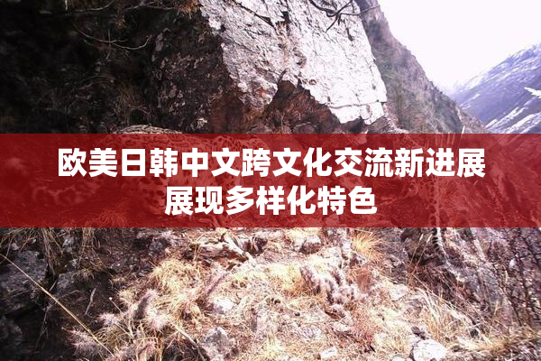 欧美日韩中文跨文化交流新进展展现多样化特色