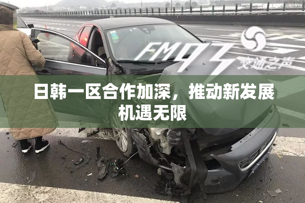 日韩一区合作加深，推动新发展机遇无限