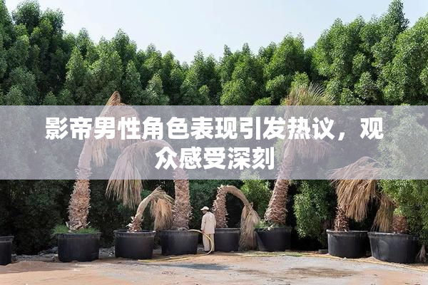 影帝男性角色表现引发热议，观众感受深刻