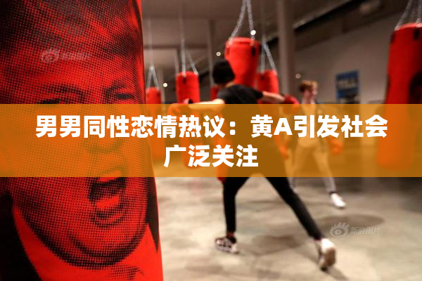 男男同性恋情热议：黄A引发社会广泛关注