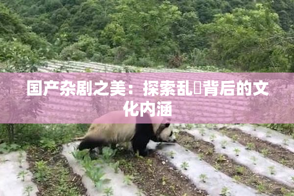 国产杂剧之美：探索乱婬背后的文化内涵