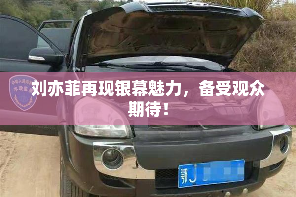 刘亦菲再现银幕魅力，备受观众期待！